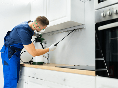 About Mosquito Fogging Tiger Point - mosquito fogging experts in Tiger Point