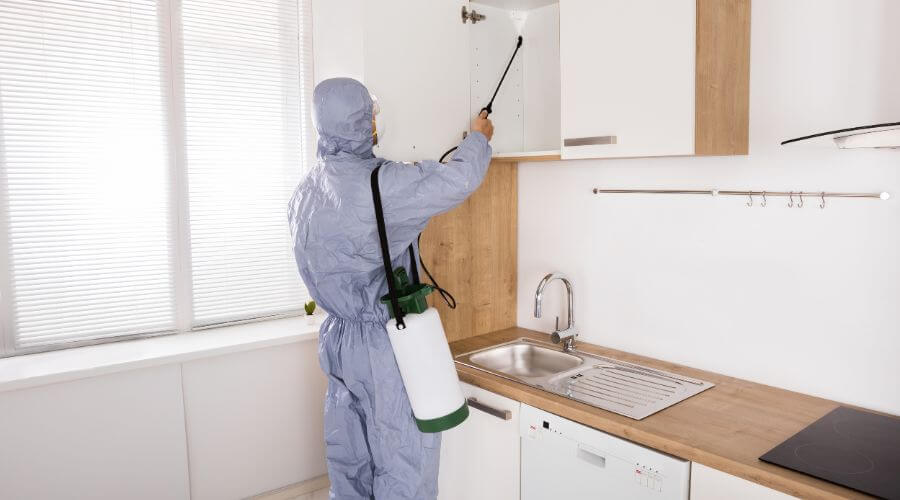 Professional mosquito fogging services in Tiger Point - Mosquito Fogging Tiger Point